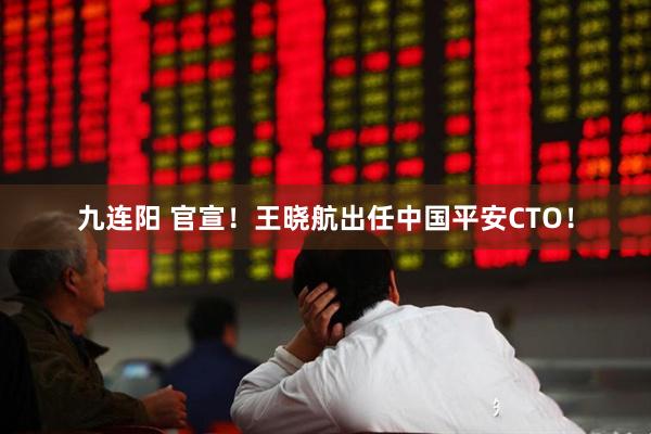 九连阳 官宣！王晓航出任中国平安CTO！