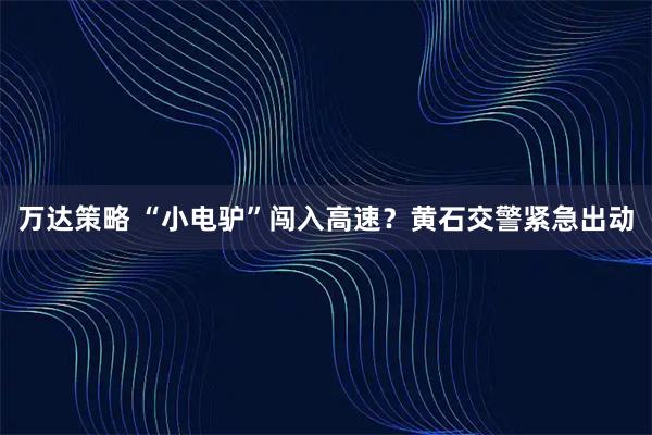 万达策略 “小电驴”闯入高速？黄石交警紧急出动