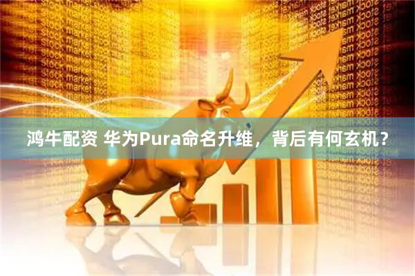 鸿牛配资 华为Pura命名升维，背后有何玄机？
