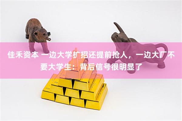 佳禾资本 一边大学扩招还提前抢人，一边大厂不要大学生：背后信号很明显了